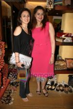 Amisha Khanna showcase her new collection at Cypress in Khar on 20th Jan 2010 (24).JPG