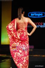 Model walks the ramp for designers Nisha Sagar, Archana Kocchar at Source show in Grand Hyatt on 28th Jan 2010 (50).JPG