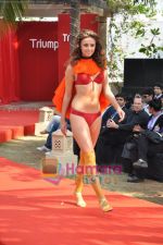 Model walk the ramp at Truimph showcase in Powai, Mumbai on 29th Jan 2010 (22).JPG