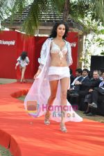 Model walk the ramp at Truimph showcase in Powai, Mumbai on 29th Jan 2010 (52).JPG