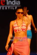 Model walk the ramp for day 2 of Source fashion show in Grand Hyatt on 29th Jan 2010 (46).JPG