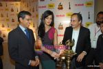 Katrina Kaif at the press conference of Idea Filmfare Awards in J W Marriott on 17th Feb 2010 (48).JPG