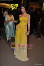 Amrita Rao at Filmfare Awards red carpet on 27th Feb 2010 (6).JPG