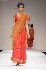 at Designer Nikasha Summer resort collection Siuili at WIFW in New Delhi on 26th March 2010 (2).jpg