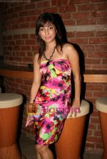 Mouli Ganguly at Bidaai serial success bash in Marimba Lounge on 28th March 2010 (3).JPG