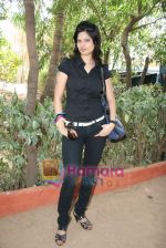 Aabha Paul at Who_s There film mahurat in Madh on 14th April 2010 (5).JPG