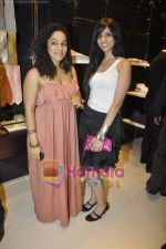 Nishka Lulla at Canali collection launch in Palladium, Mumbai on 15th April 2010 (2).JPG