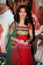 at the premiere of Bhojpuri film Bhaiya Je Sasurai Mein in Fame on 22nd April 2010 (4).JPG