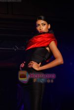 Model walk the ramp for Shantanu Nikhil at Day 2 Blenders Tour fashion show on 4th Spt 2010 (8).JPG