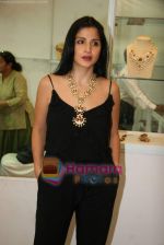 at Araish jewellery exhibition in Blue Sea on 12th Oct 2010 (5).JPG
