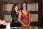Mahie Gill at Giantti event in Atria Mall on 28th Oct 2010 (16).JPG