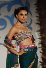 Model walk the ramp for Nisha Sagar for Aamby Valley India Bridal Week 30th Oct 2010 (70).JPG