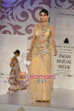 Model walks the ramp for Arjun Anjalee Kapoor for Aamby Valley India Bridal Week on 30th Oct 2010 (56).JPG