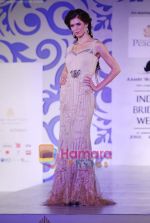 Model walks the ramp for Shane and Falguni Peacock at Aamby Valley India Bridal week DAY 3 on 31st Oct 2010 (18).JPG