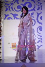 Model walks the ramp for Shane and Falguni Peacock at Aamby Valley India Bridal week DAY 3 on 31st Oct 2010 (20).JPG