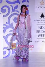 Model walks the ramp for Shane and Falguni Peacock at Aamby Valley India Bridal week DAY 3 on 31st Oct 2010 (33).JPG
