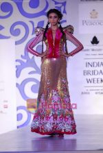 Model walks the ramp for Shane and Falguni Peacock at Aamby Valley India Bridal week DAY 3 on 31st Oct 2010 (36).JPG