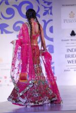 Model walks the ramp for Shane and Falguni Peacock at Aamby Valley India Bridal week DAY 3 on 31st Oct 2010 (45).JPG