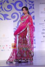 Model walks the ramp for Shane and Falguni Peacock at Aamby Valley India Bridal week DAY 3 on 31st Oct 2010 (46).JPG