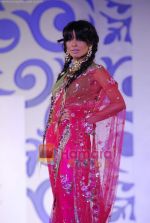 Model walks the ramp for Shane and Falguni Peacock at Aamby Valley India Bridal week DAY 3 on 31st Oct 2010 (48).JPG