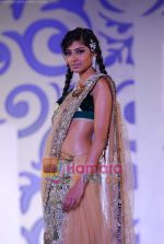 Model walks the ramp for Shane and Falguni Peacock at Aamby Valley India Bridal week DAY 3 on 31st Oct 2010 (59).JPG