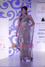 Model walks the ramp for Shane and Falguni Peacock at Aamby Valley India Bridal week DAY 3 on 31st Oct 2010 (60).JPG