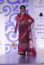 Model walks the ramp for Shane and Falguni Peacock at Aamby Valley India Bridal week DAY 3 on 31st Oct 2010 (66).JPG