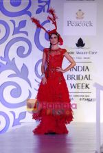 Model walks the ramp for Shane and Falguni Peacock at Aamby Valley India Bridal week DAY 3 on 31st Oct 2010 (68).JPG