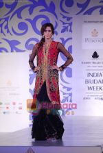 Model walks the ramp for Shane and Falguni Peacock at Aamby Valley India Bridal week DAY 3 on 31st Oct 2010 (70).JPG