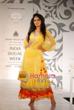Model walks the ramp for Archana Kocchar at Aamby Valley India Bridal Week day 5 on 2nd Nov 2010 (43).JPG