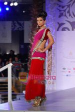 Model walks the ramp for Jaya Misra at Aamby Valley India Bridal Week day 5 on 2nd Nov 2010 (47).JPG