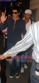 Shahrukh Khan snapped at Mumbai International airport on 16th Nov 2010 (3).JPG