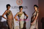 at Surya Diamonds Swarovski fashion show in the hotel ITC Grand Central, Lower Parel on 27th Nov 2010 (38).JPG