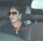 Katrina Kaif returns from Ad Shoot in Bangkok in Mumbai Airport on 30th Nov 2010 (9).JPG