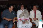 Amitabh Bachchan, Mohanlal at Kandahar press meet hosted by Leela Hotels in Leela Hotel on 15th dec 2010 (31).JPG