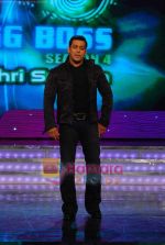 Salman Khan on the sets of Big Boss on 17th Dec 2010 (4).JPG