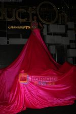 Mugdha Godse perform at Sahara Star_s Seduction 2011 on 31st Dec 2010 (9).JPG
