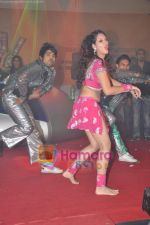 Priya Soni performs live at Dubai Dazzle show in Andheri on 1st Jan 2011 (25).JPG