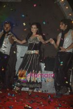 Dia Mirza performs live at Vemma health product launch in Tulip Star on 14th Jan 2011 (9).JPG
