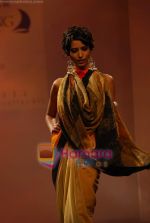 at Meera Muzaffar Ali Jaguar fashion show in Mumbai on 16th Jan 2011 (43).JPG