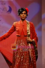 at Meera Muzaffar Ali Jaguar fashion show in Mumbai on 16th Jan 2011 (89).JPG