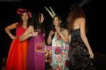 Farah Ali Khan, Nisha Jamwal, Suchitra Krishnamurthy at Club Viva fashion show in the Club on 24th Jan 2011 (88).JPG