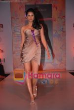 Model walks the ramp for Designer Haasya Chandna at Bangalore Fashion Week in Bangalore on 4th Feb 2011 (13).jpg