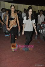Katrina Kaif at Stardust Awards 2011 in Mumbai on 6th Feb 2011 (2)~0.JPG