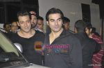 Salman Khan, Arbaaz Khan at Stardust Awards 2011 in Mumbai on 6th Feb 2011 (5).JPG