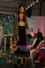 at Manali Jagtap Show at at Gitanjali Cyclothon fashion show in Trident, andra, Mumbai on 7th Feb 2011 (91).JPG
