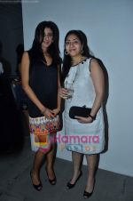 at Volte Gallery solo show by Ranbir Kaleka on 16th Feb 2011 (35).JPG