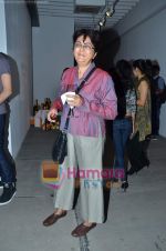 at Volte Gallery solo show by Ranbir Kaleka on 16th Feb 2011 (43).JPG