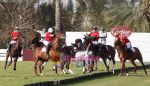 at Cartier Dubai Polo cup in Dubai, United Arab Emirates, 14 February 2011 (188).JPG