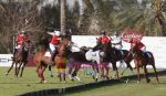 at Cartier Dubai Polo cup in Dubai, United Arab Emirates, 14 February 2011 (189).JPG